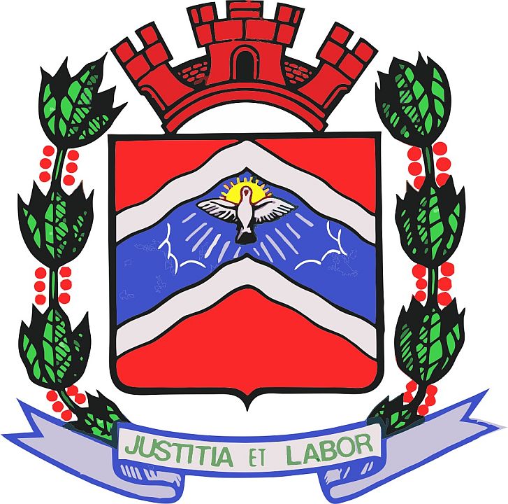 Brasão do município de Bom Sucesso