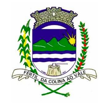 Brasão do município de Borrazópolis