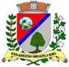 Brasão do município de São João do Ivaí