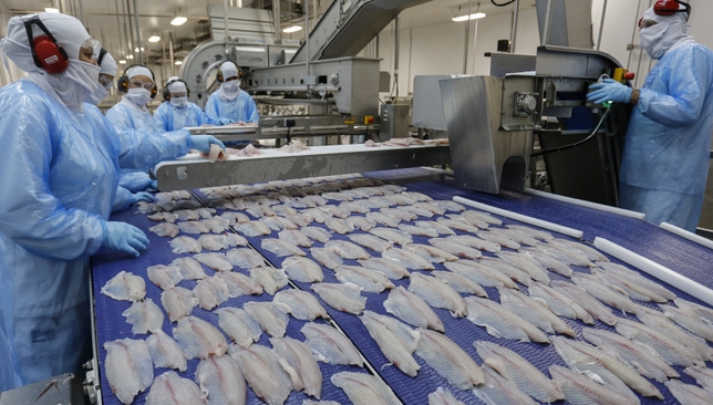 Peixes