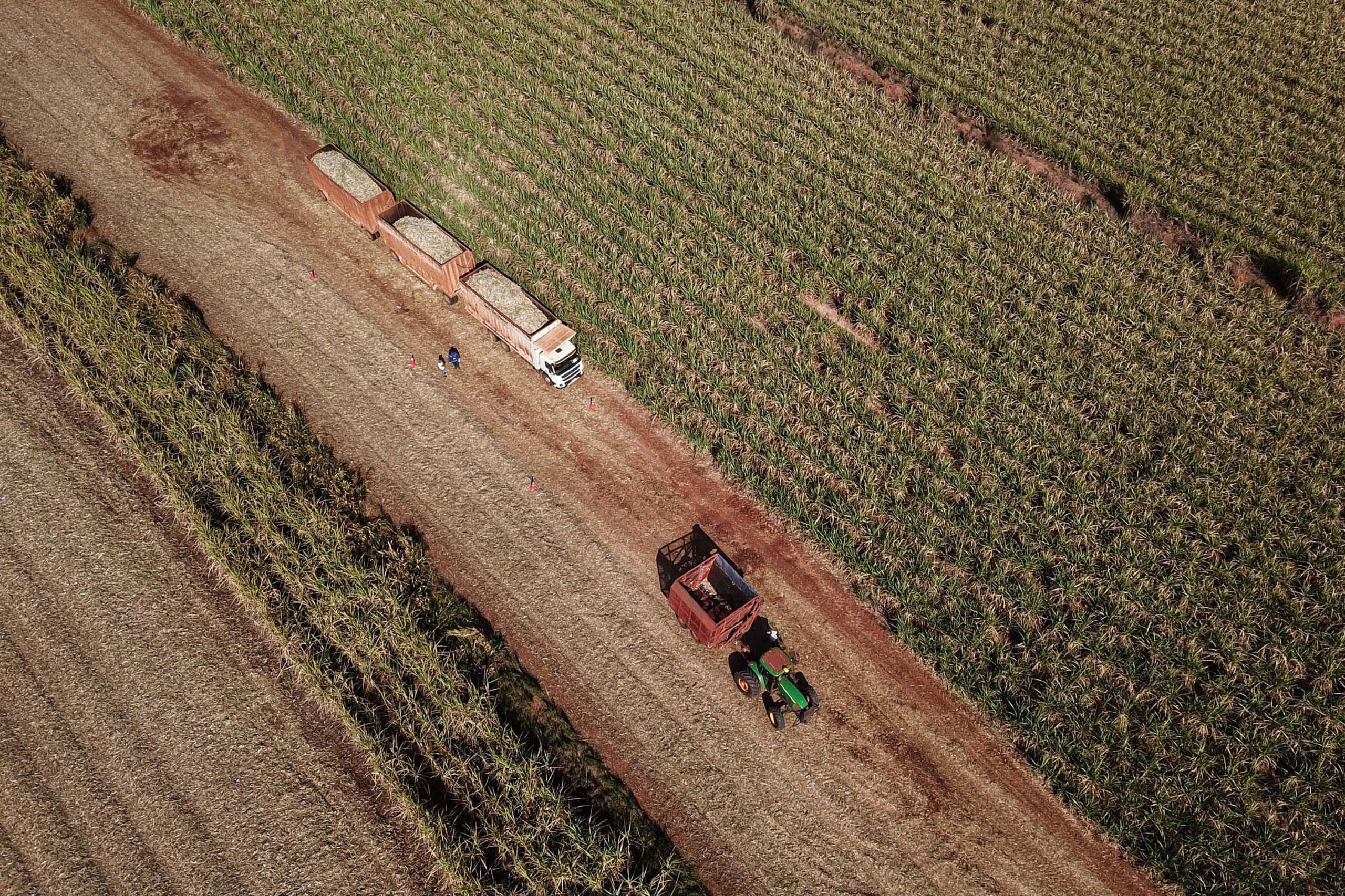 Paraná cresce três vezes acima da média nacional em agosto, aponta Banco Central