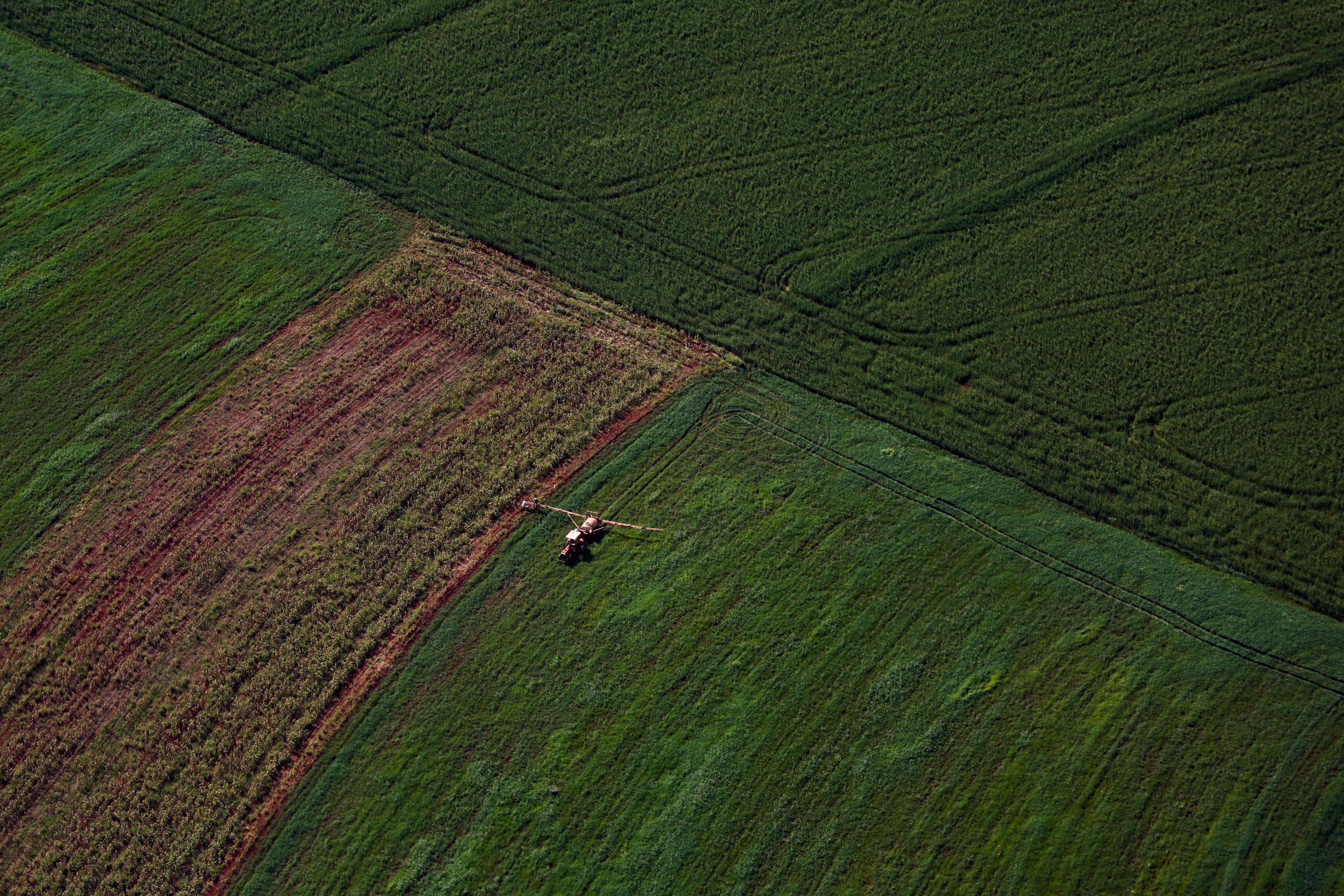 Supermercado do mundo: Paraná expande produção agropecuária entre 2018 e 2025.