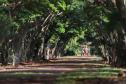 itaipulandiahotelitacora_019.jpg