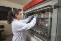 lab-embalagens-014.jpg