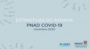 PNAD COVID NOVEMBRO
