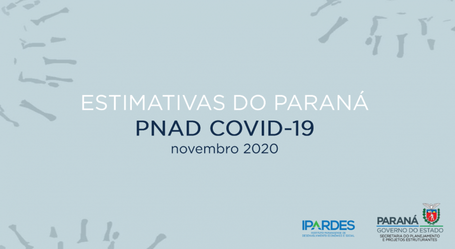 PNAD COVID NOVEMBRO