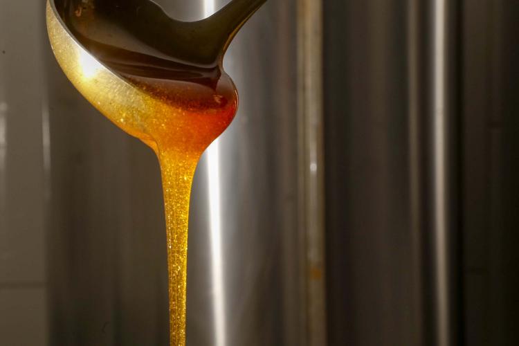 Mel espesso na cor alaranjada para amarelo ouro, caindo de uma concha de alumínio