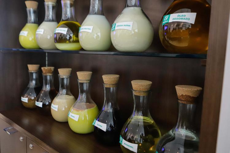 Prateleira com frascos de vidro contendo tipos de óleos e outros produtos, fechados om tampas tipo rolha.