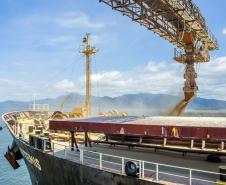 exportacao_de_farelo_de_soja_bunge_1_0.jpg