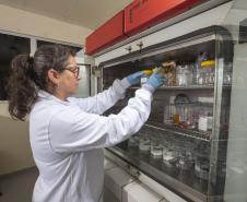 lab-embalagens-014.jpg