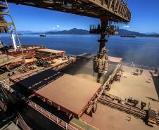 exportacao_soja_janeiro_claudioneves_portos_do_parana_3_0.jpg