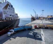 milho_importac807a771o_1onavio_maio2021_arquivo_claudio_neves_portos_do_parana769_4.jpg