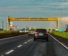 arapongas_foto_rdziura-3819.jpg