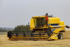 Salários da agropecuária do Paraná crescem no 2º trimestre e superam em 58% a média nacional