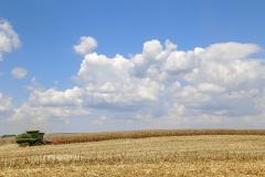 Paraná cresce acima da média nacional em 2023 e mantém 4º maior PIB do País