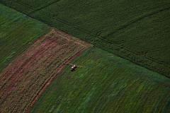 Supermercado do mundo: Paraná expande produção agropecuária entre 2018 e 2025.