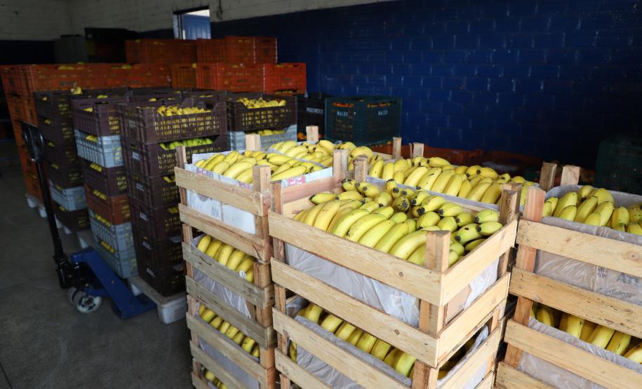 Preços de alimentos e bebidas caem em todas as regiões do Paraná em novembro