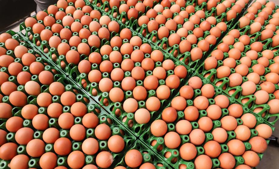 Preços de alimentos e bebidas caem pelo segundo mês consecutivo no Paraná