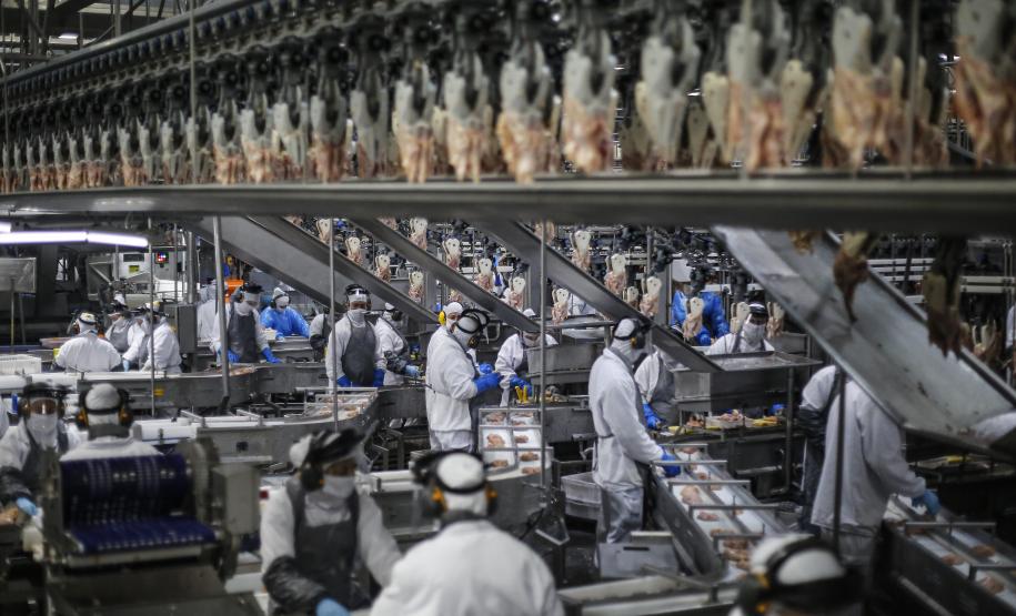 Palotina - 10-10-2020 - Cooperativa C Vale - Industria de Aves e Tilapia