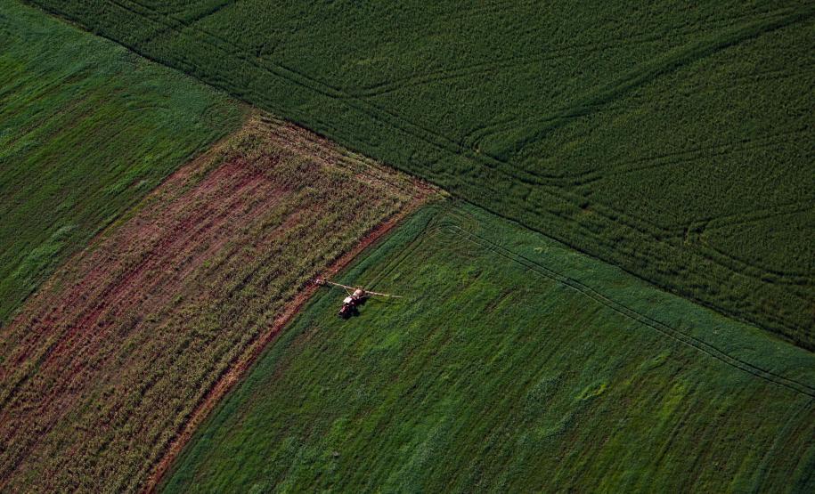 Supermercado do mundo: Paraná expande produção agropecuária entre 2018 e 2025.