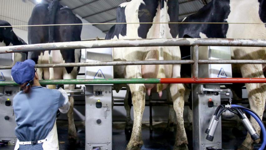 agri